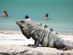 Isla Holbox- Yucatan Mexiko