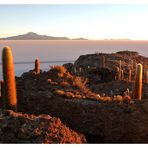 ISLA INCAHUASI