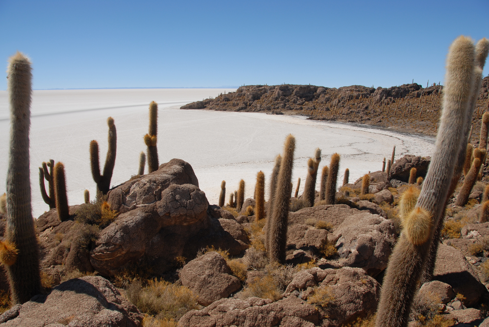 Isla Incahuasi