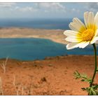 * Isla La Graciosa *