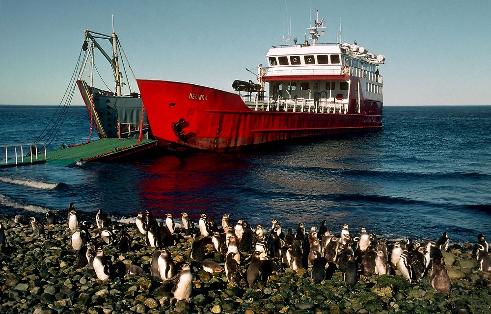 Isla Magdalena