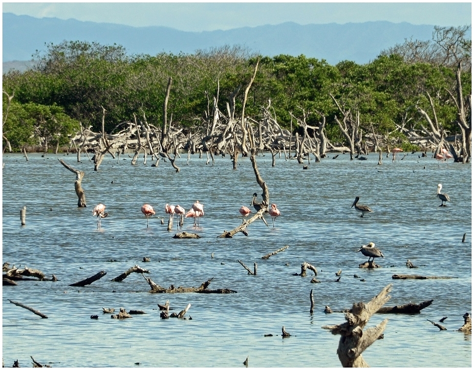 Isla Margarita_5