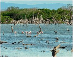 Isla Margarita_5