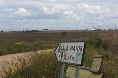 isla mayor 