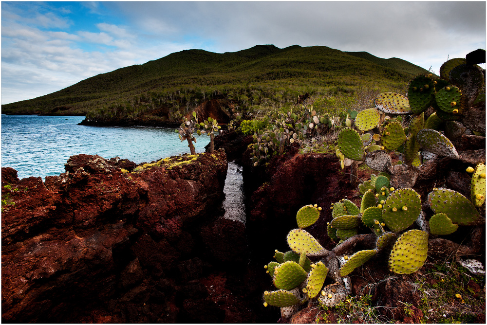 [ Isla Rábida ] Foto & Bild south america, ecuador, galapagos Bilder