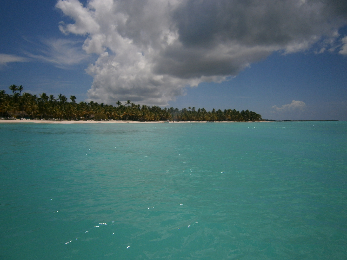 Isla Saona