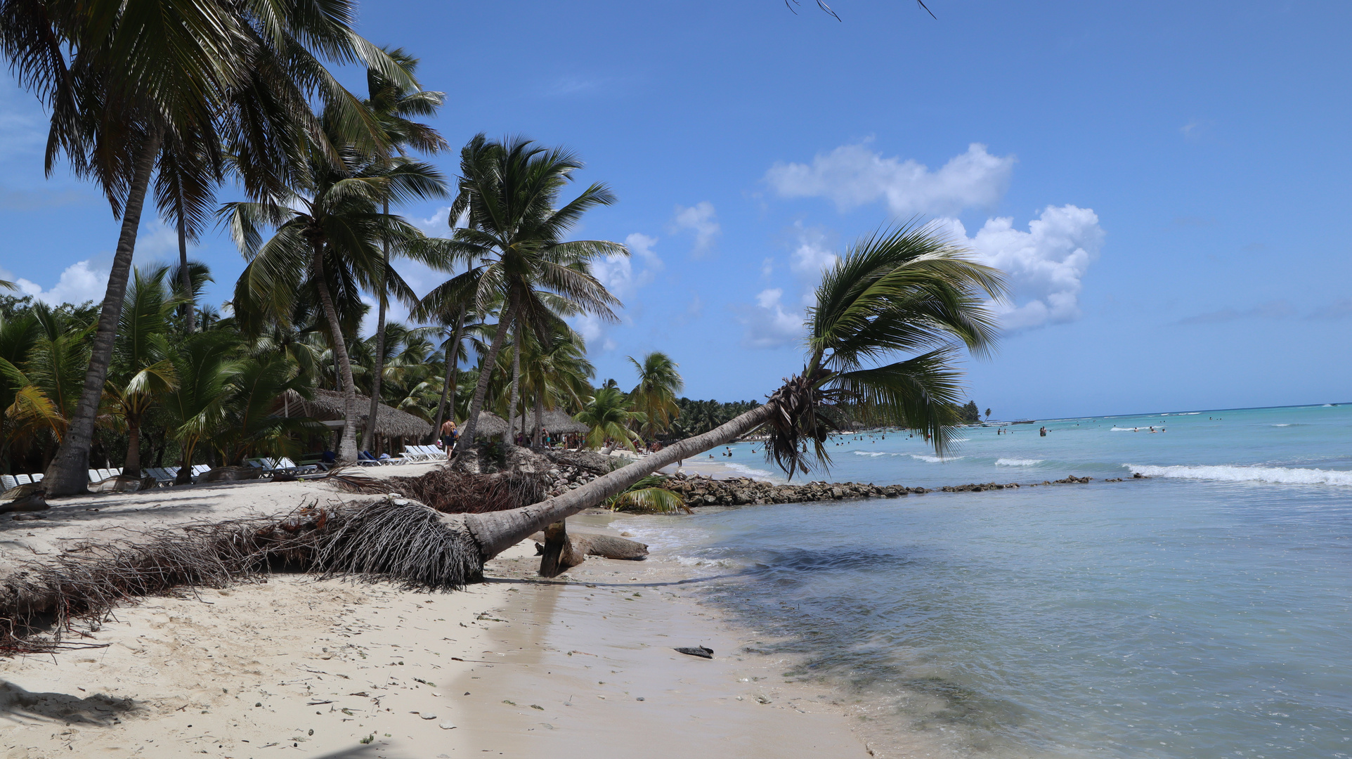 Isla Saona 