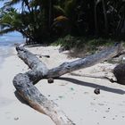 Isla Saona 8