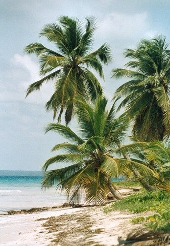 Isla Saona bei Parque Nacional del Este