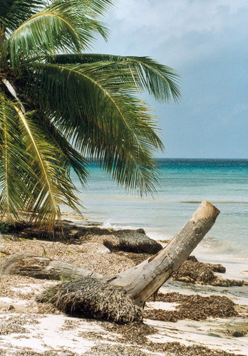 Isla Saona beim Parque Nacional del Este