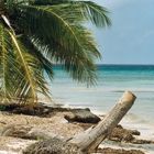 Isla Saona beim Parque Nacional del Este