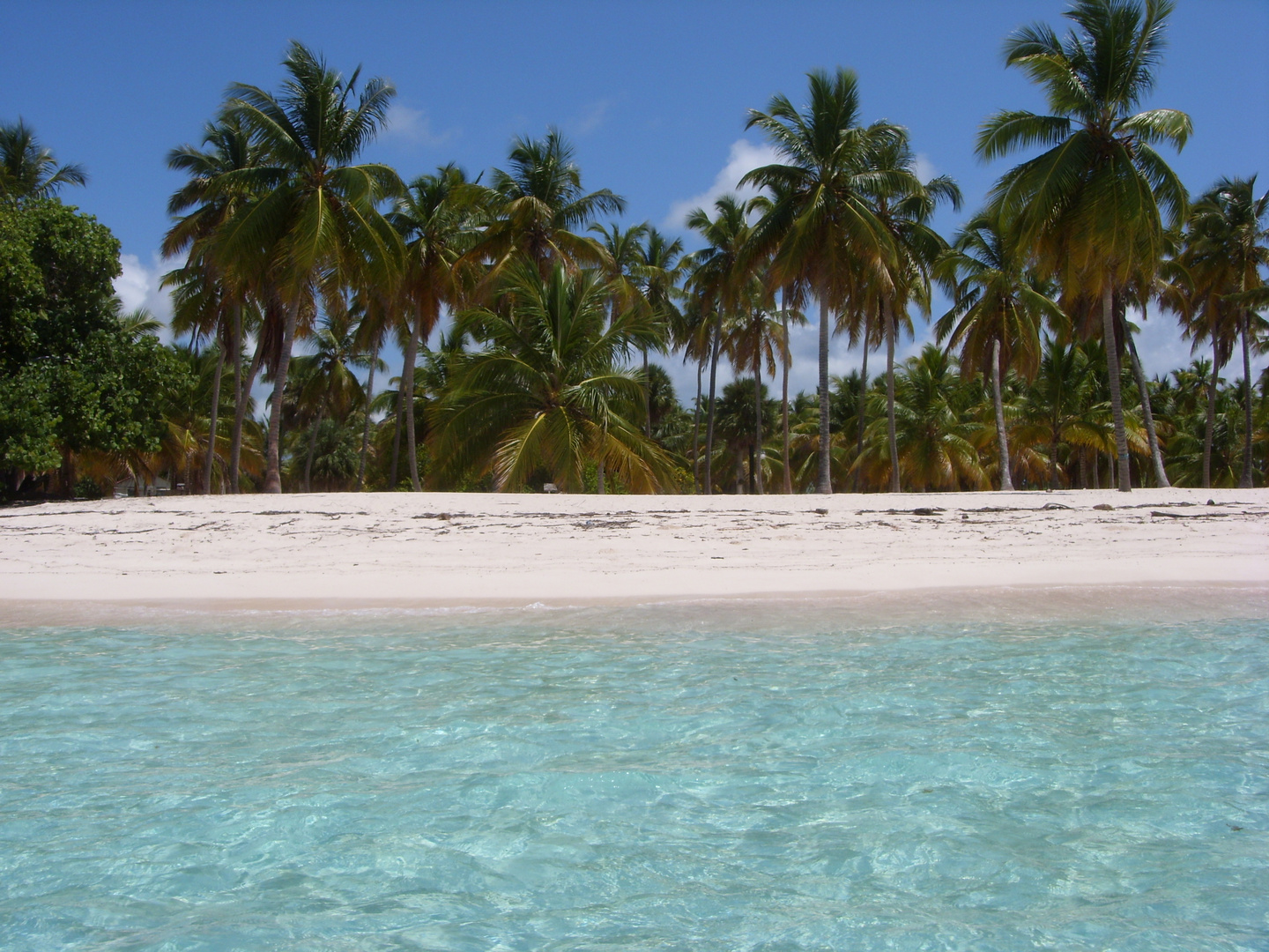 Isla Saona... Caraibi...