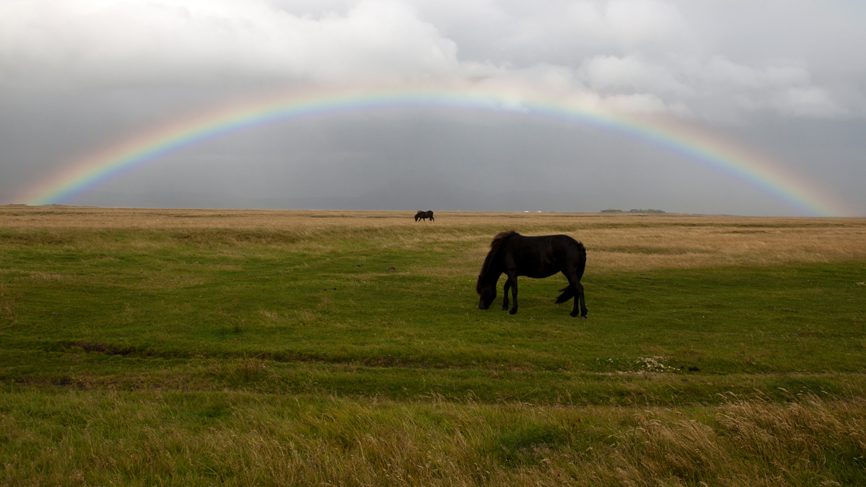 Isländer unterm Regenbogen