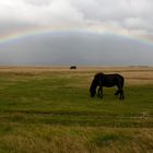 Isländer unterm Regenbogen