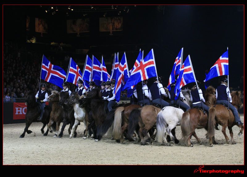 Isländervorführung Equitana