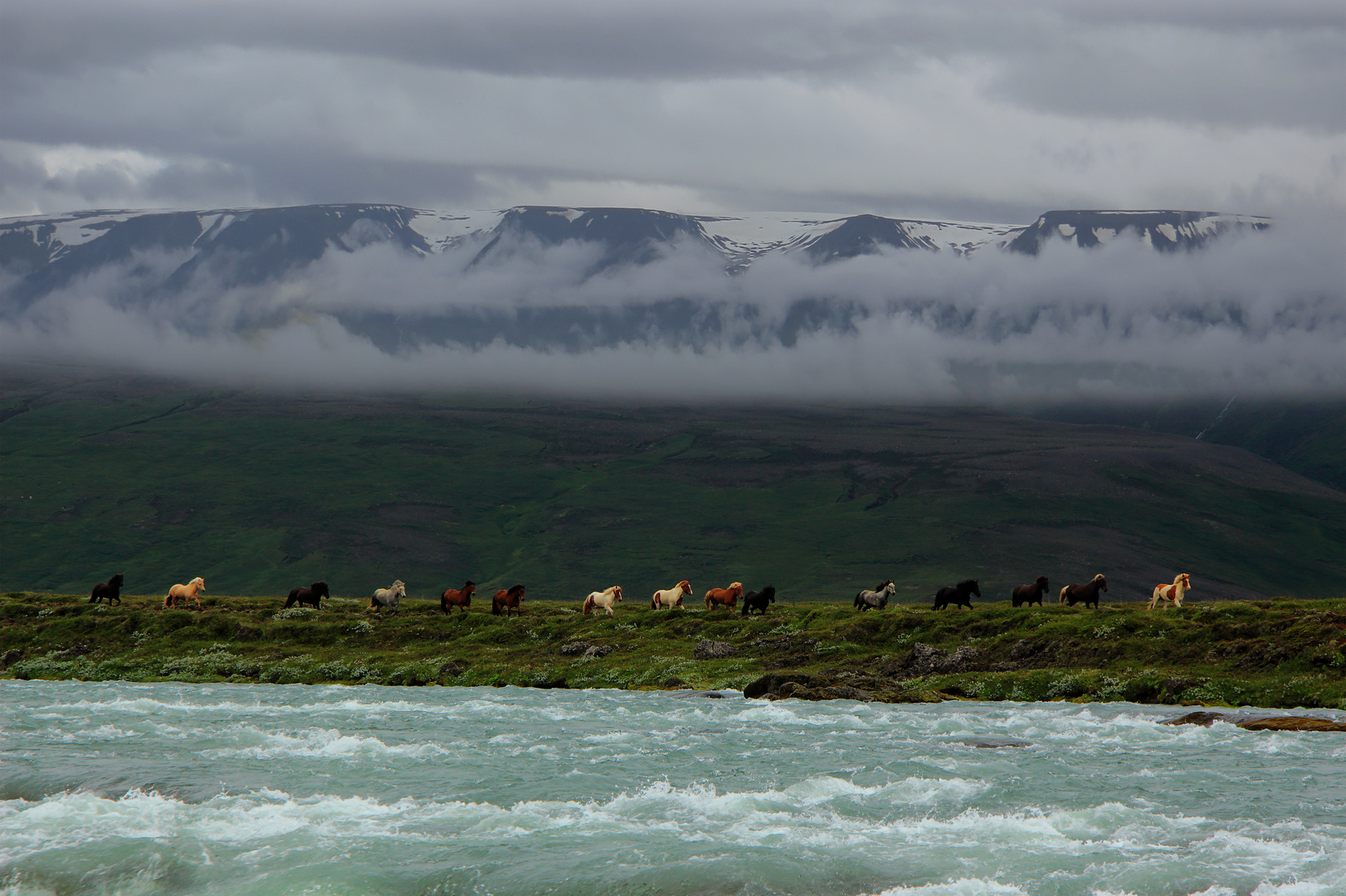 Isländische Pferde