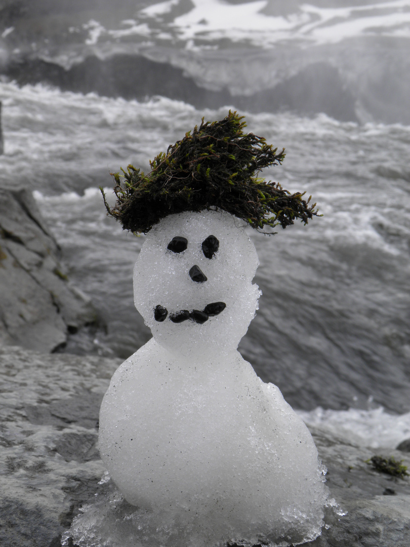 isländischer schneetroll