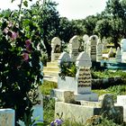 Islamischer Friedhof.    .120_3788