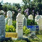 Islamischer Friedhof.     .120_3790