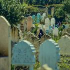 Islamischer Friedhof.     .120_3795