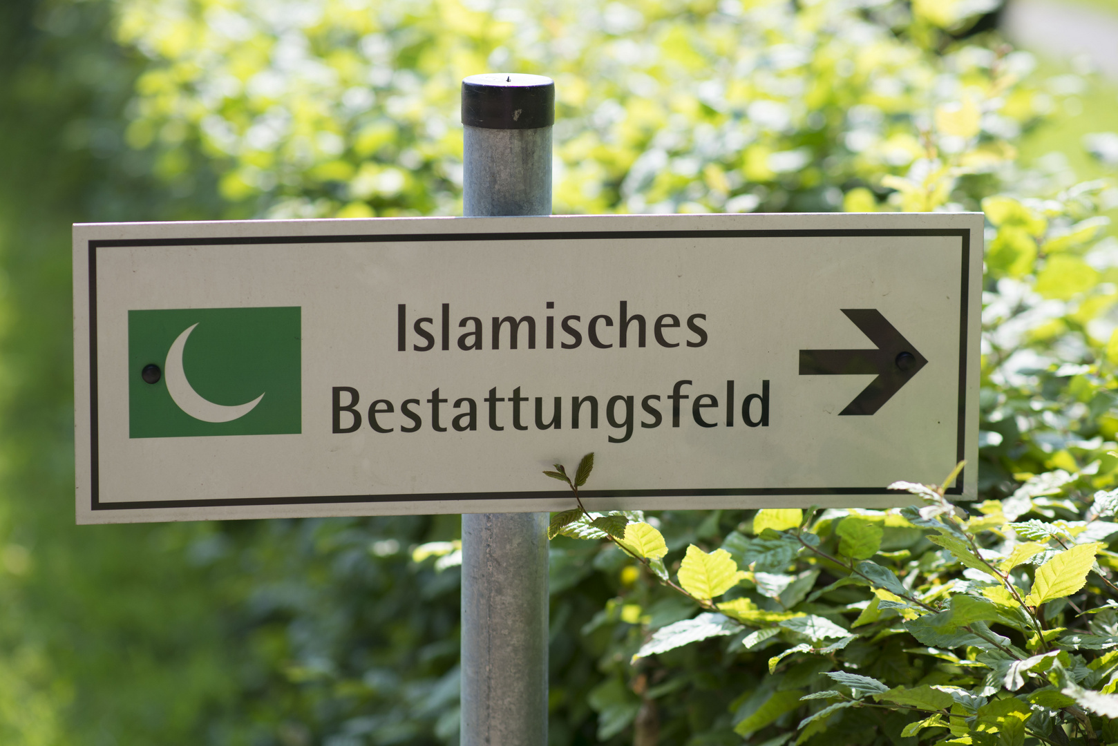 Islamisches Bestattungsfeld