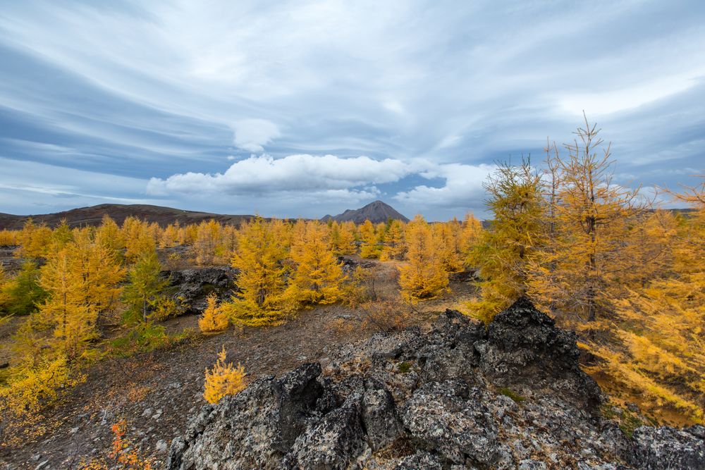 Island (1)- Engadin am Myvatn 