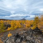 Island (1)- Engadin am Myvatn 