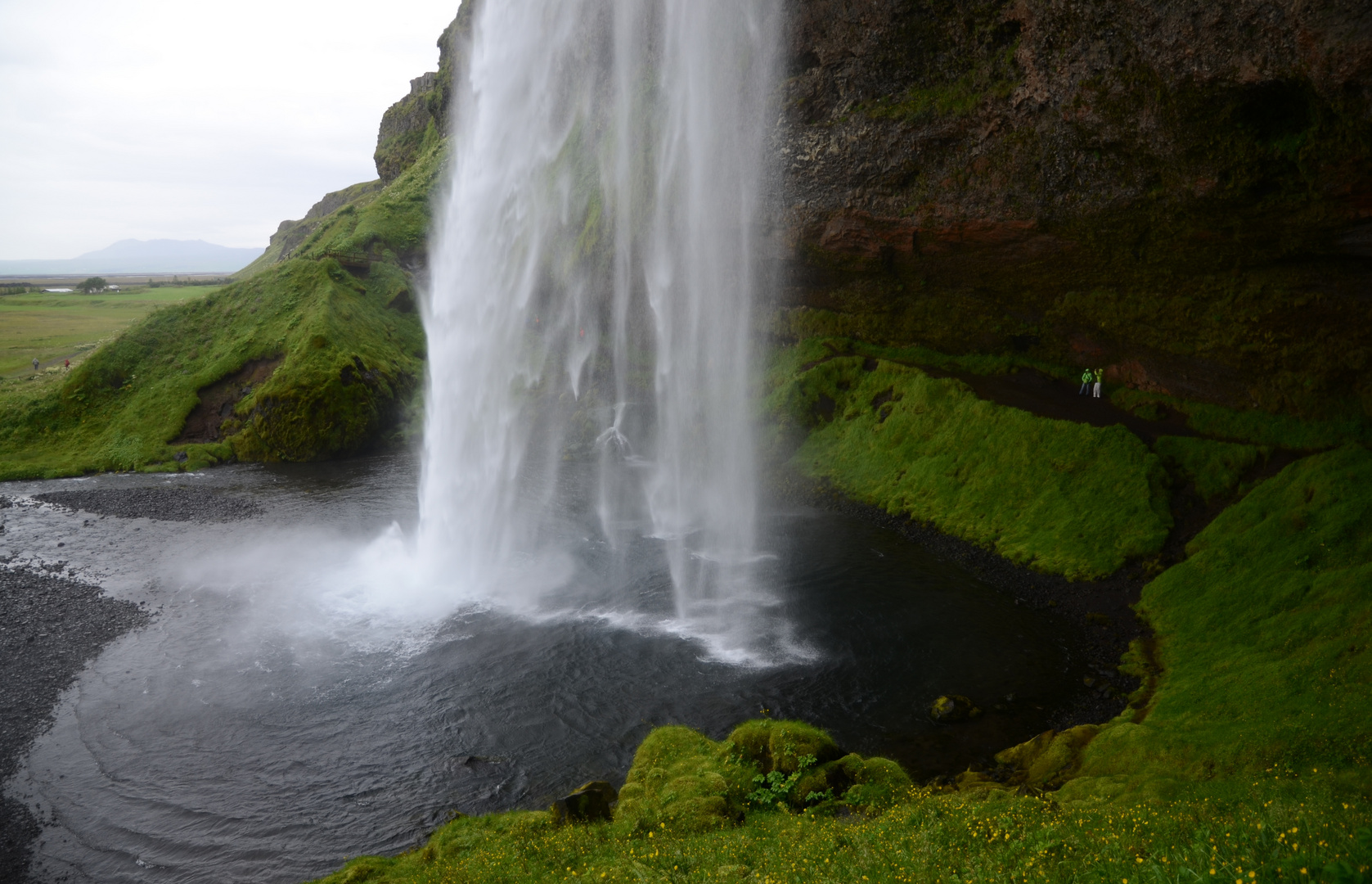 Island (20) - Seljalandsfoss