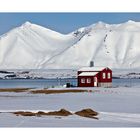 Island 2014 - Haus am Fjord