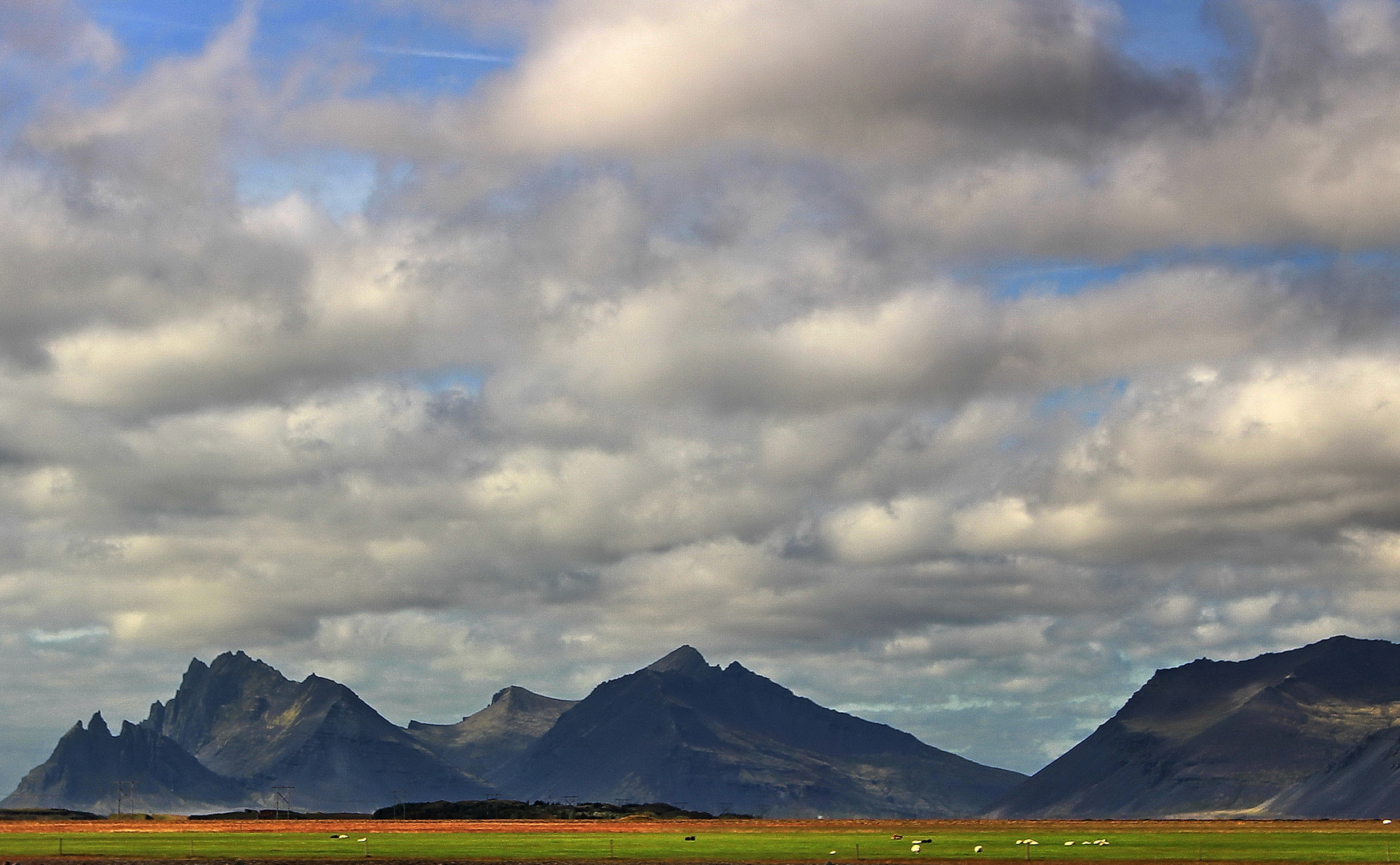 Island 2014 - Wiesen, Weiden und Berge