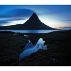 Island 2017 #08 Kirkjufell in der blauen Stunde