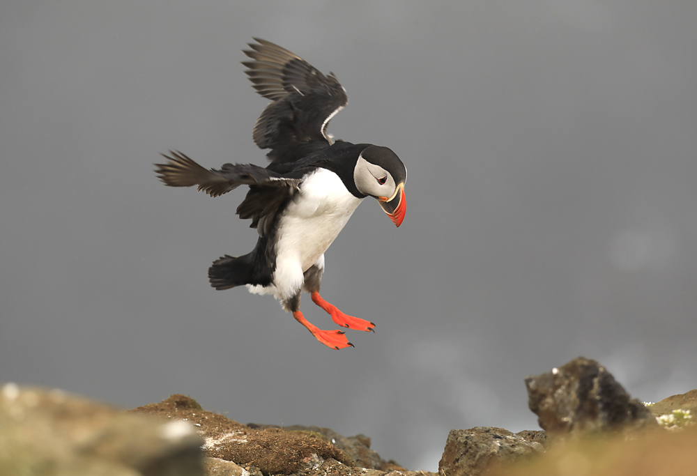 Island 2017 #29 sanfte Landung