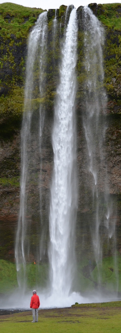 Island (22) - Seljalandsfoss mal von vorne