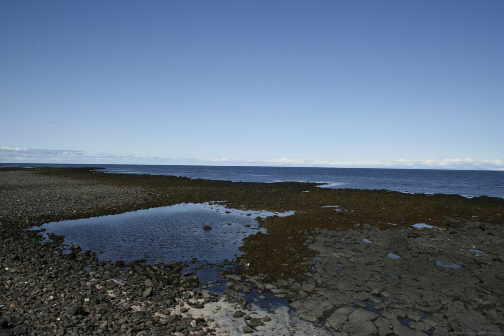 Island 3 Bei Gardur von Martin KW H 