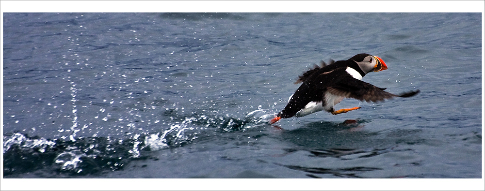 Island - Abflug