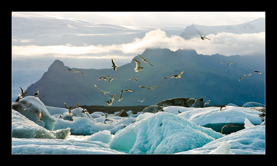 Island / Am Gletscher / Jökulsárlón