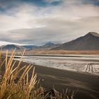 Island - am Strand von Borgarnes