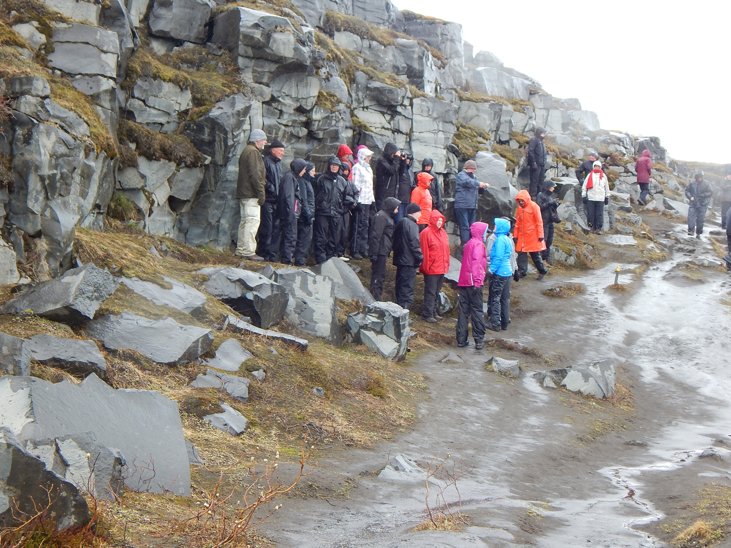 Island - Dettifoss, wie die Lemminge