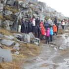 Island - Dettifoss, wie die Lemminge