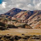 Island - die bunten Berge von Landmannalaugar (2)