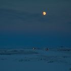 Island- Ein Nachmittag im Winter