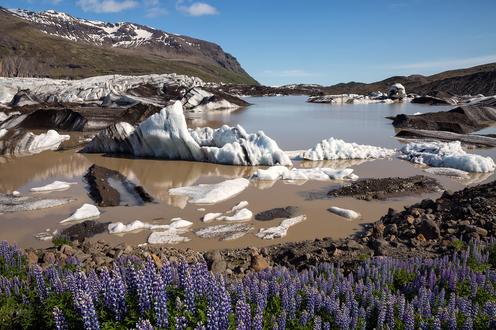 Island erlebt sein blaues Wunder