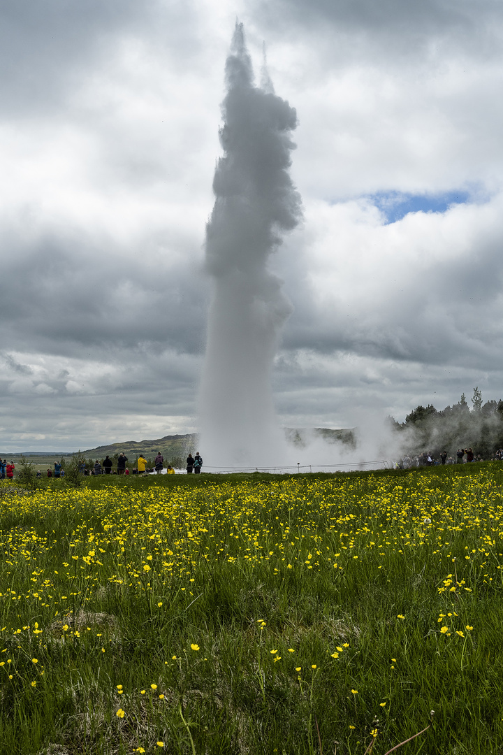 Island-Geysir Stokkur-Juni 2022