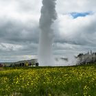 Island-Geysir Stokkur-Juni 2022