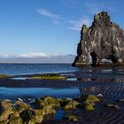 Island - Hvítserkur