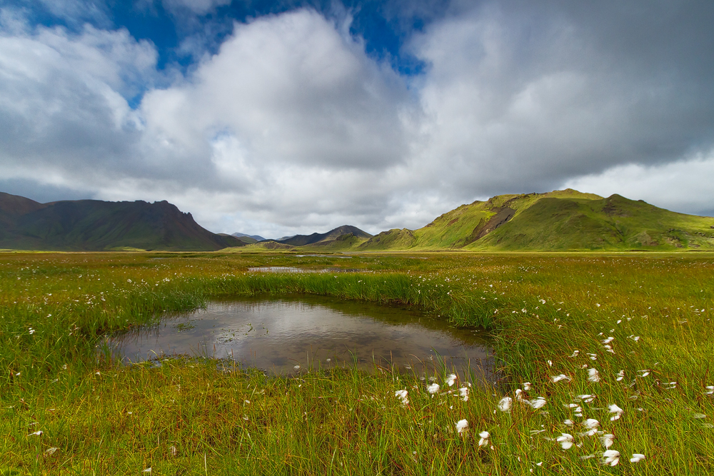 Island Idylle