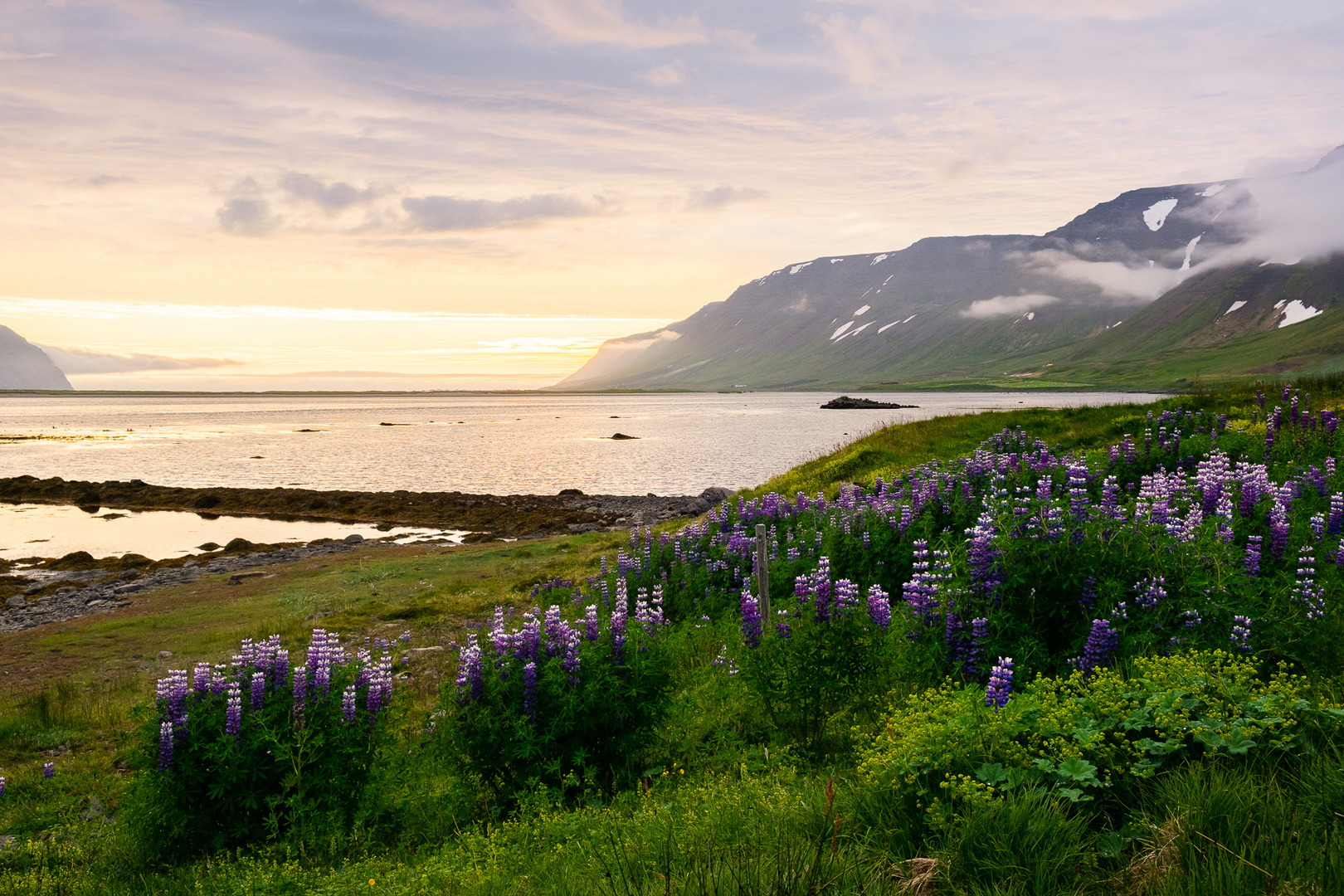 Island II #10 Westfjorde