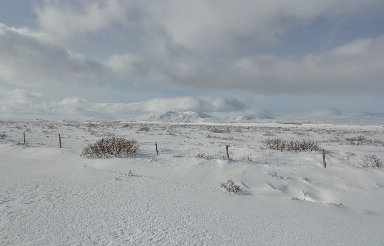 Island im Schnee