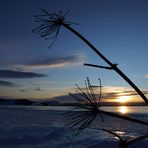 Island im Winter – Die Sonne streift über den Myvatn (Mückensee)