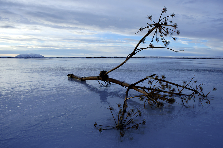 Island im Winter – Eisiger Myvaten See ohne Mücken: